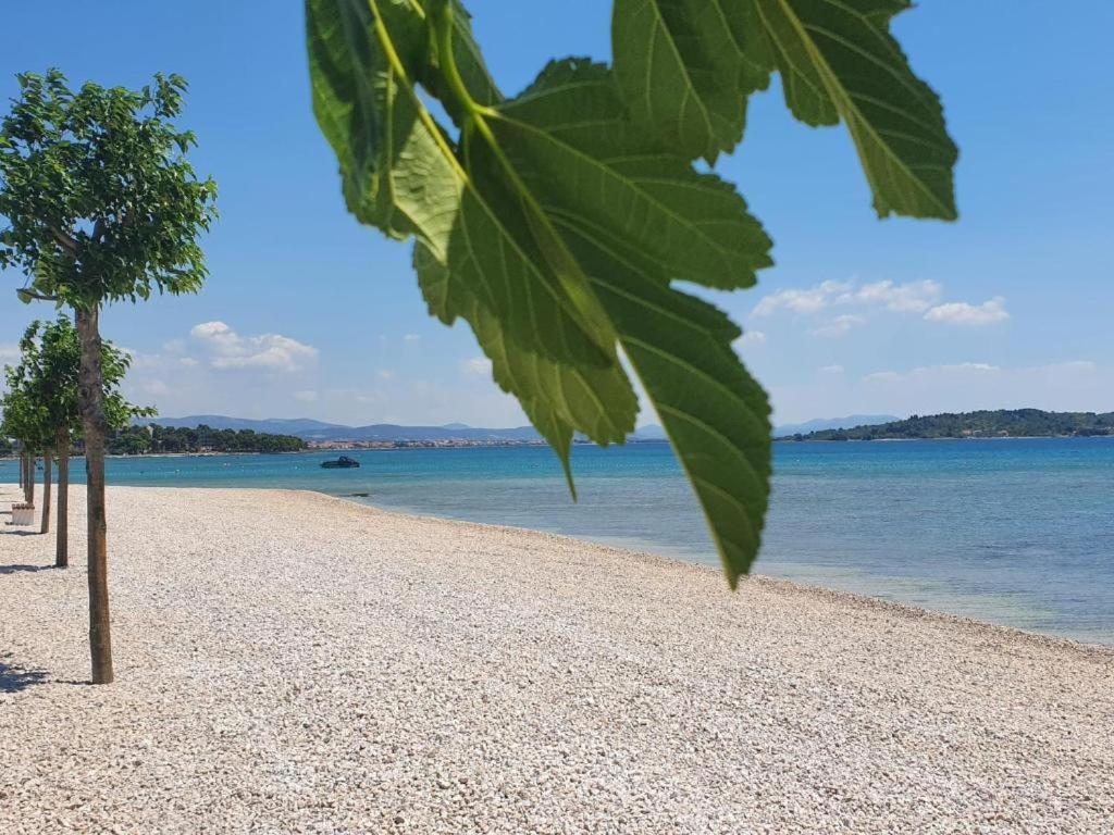 Apartments Vesna Vodice Esterno foto